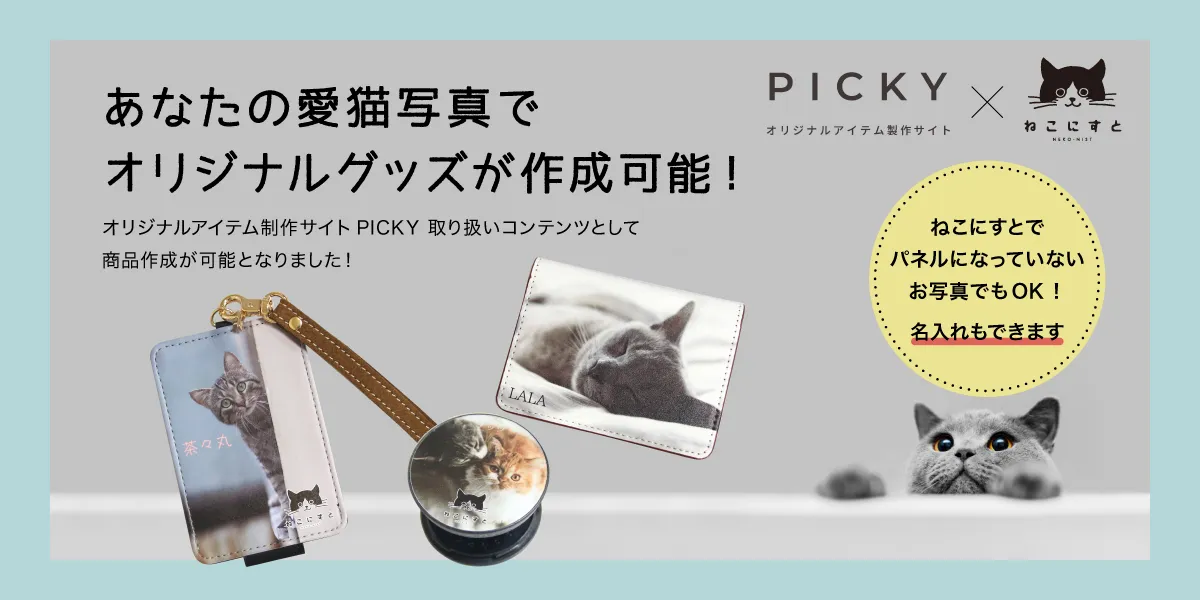 セミオーダー - ねこにすと