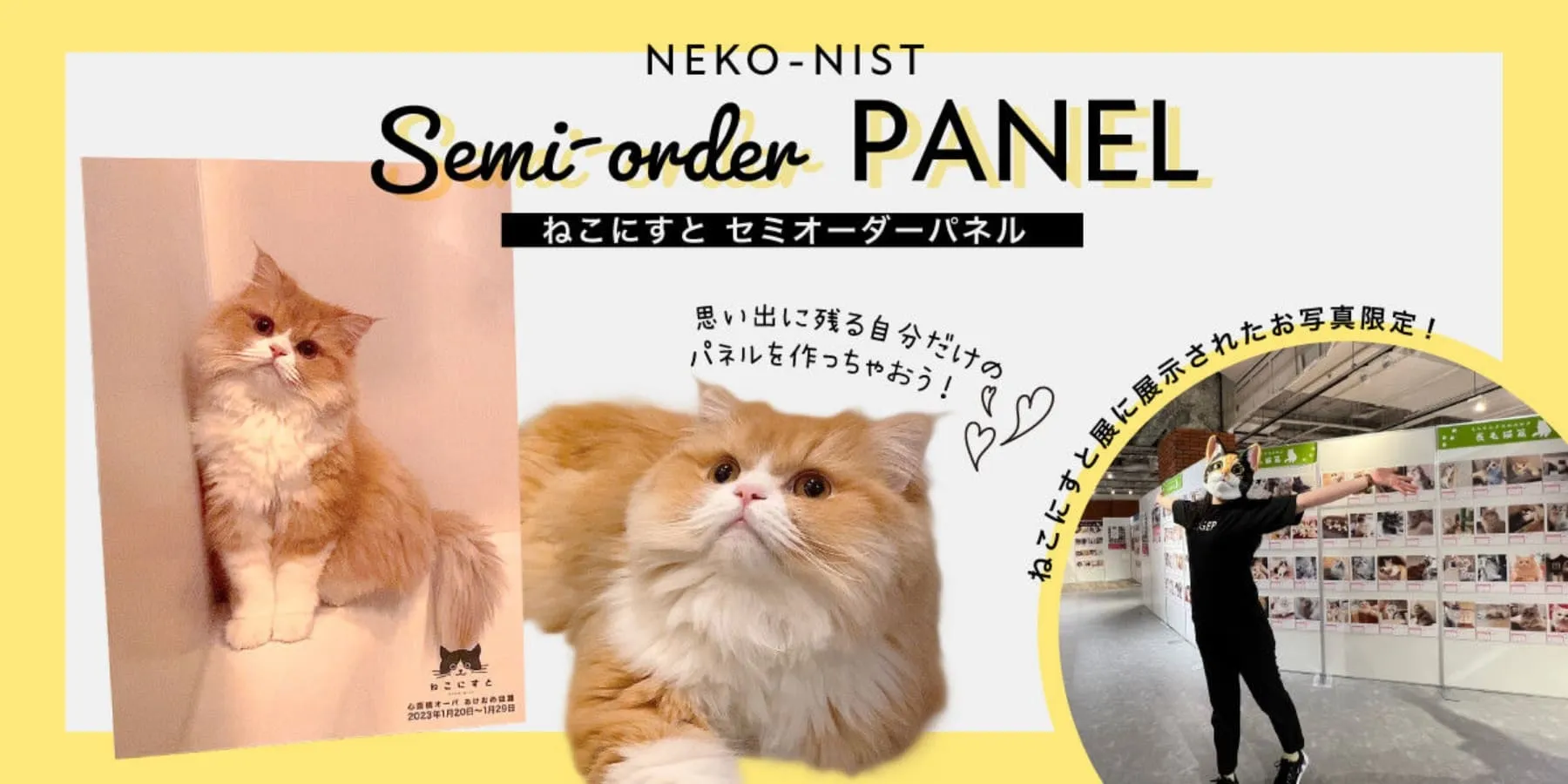 セミオーダー - ねこにすと