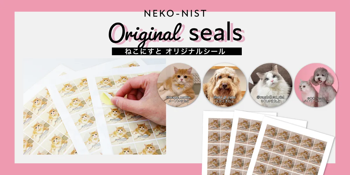 セミオーダー - ねこにすと